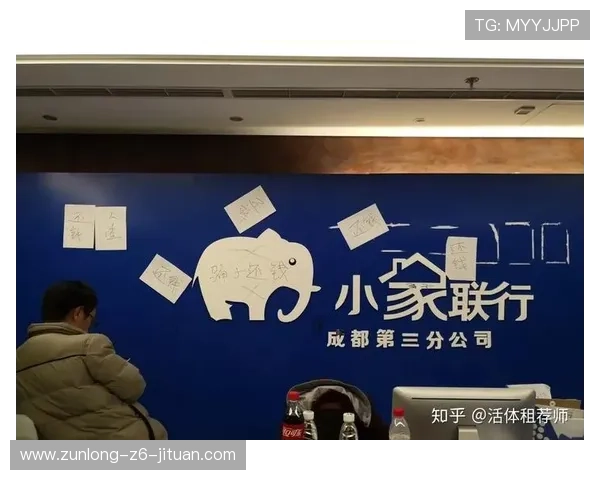 开云棋牌登录遇到问题如何快速解决全面指南分享