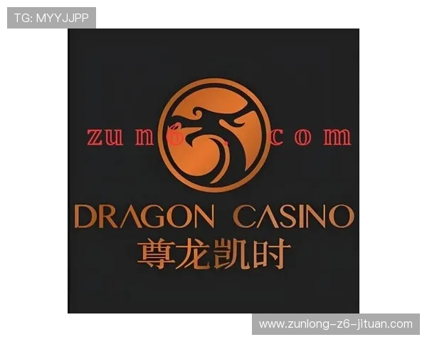 尊龙时凯官网入口：官方入口的访问速度优化与用户体验提升