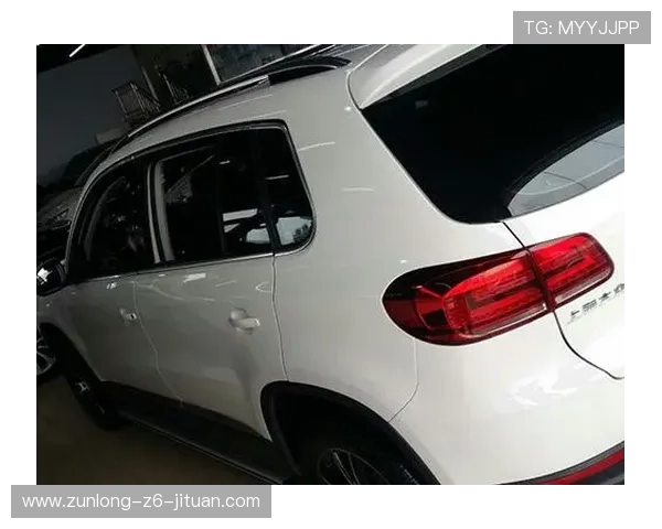 凯时登录app首页安全登录技巧与账号保护措施全面解析 凯时登录app首页安全登录技巧与账号保护措施全面解析