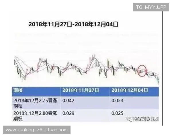深入了解凯时集团官网的特色与用户体验，让你不再陌生
