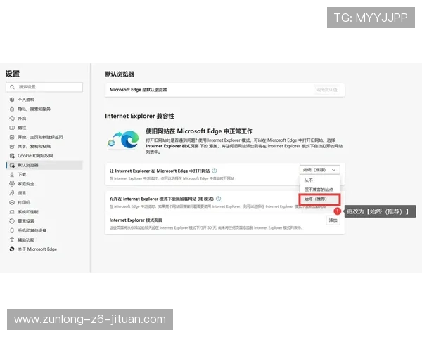 凯时网站登录遇到问题怎么办快速解决登录异常的实用技巧分享