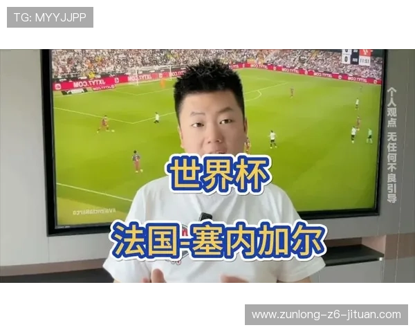 2026年法国对阵塞内加尔比赛中传球成功率数据详解与战术分析