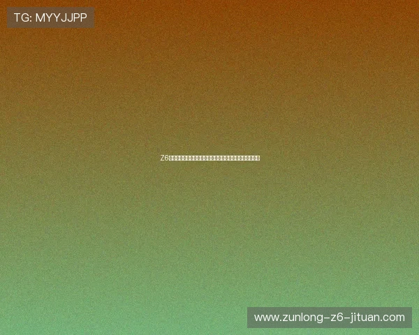 Z6现金使用指南全面介绍新手如何高效利用平台进行资金操作 Z6现金使用指南全面介绍新手如何高效利用平台进行资金操作